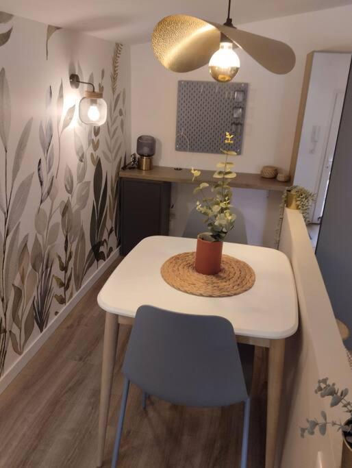 Les Salenques Apartment Toulouse Exterior photo